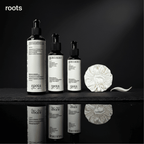 Second Chance Love - Roots