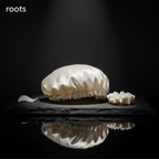 Silky Love Essentials - Roots